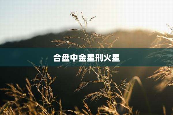 合盘中金星刑火星