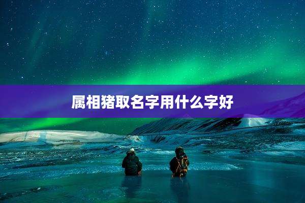 属相猪取名字用什么字好