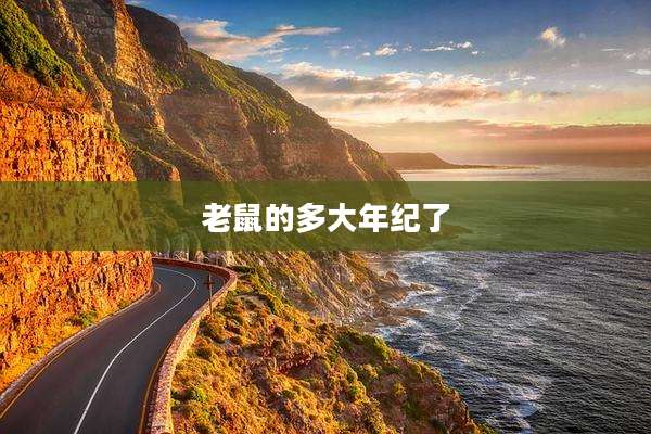 老鼠的多大年纪了