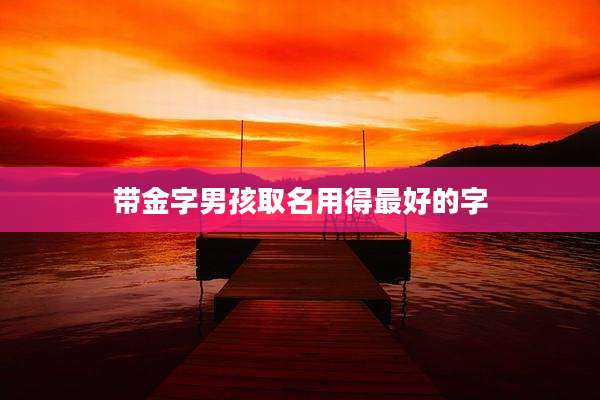 带金字男孩取名用得最好的字