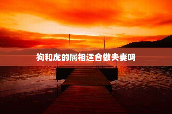 狗和虎的属相适合做夫妻吗