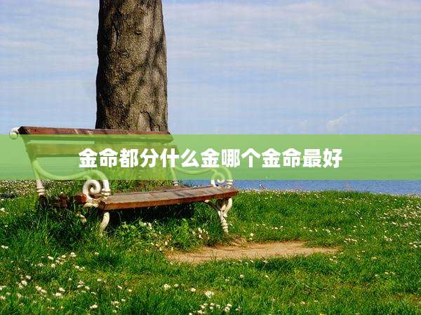 金命都分什么金哪个金命最好