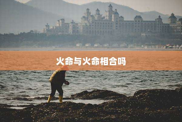 火命与火命相合吗
