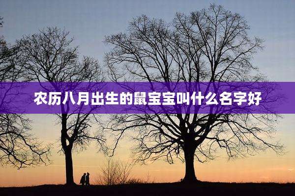 农历八月出生的鼠宝宝叫什么名字好