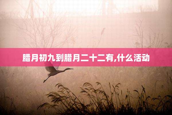 腊月初九到腊月二十二有,什么活动