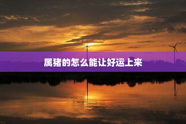 属猪的怎么能让好运上来