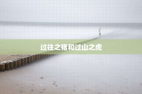 过往之猪和过山之虎