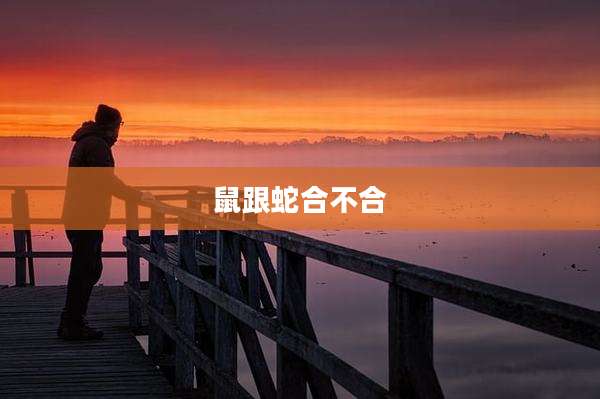 鼠跟蛇合不合