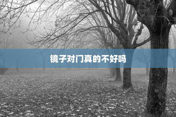镜子对门真的不好吗