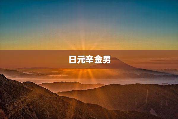 日元辛金男