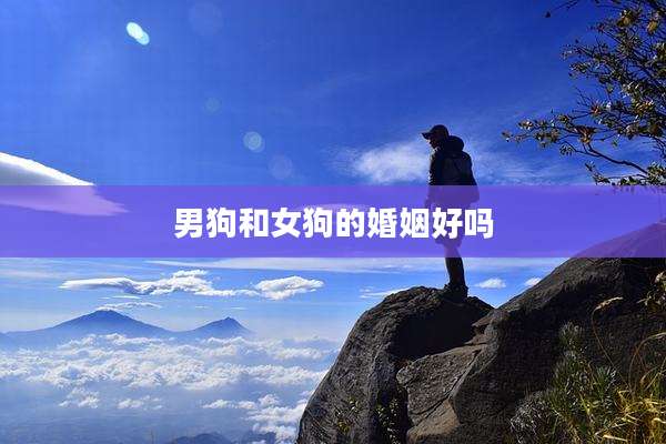 男狗和女狗的婚姻好吗
