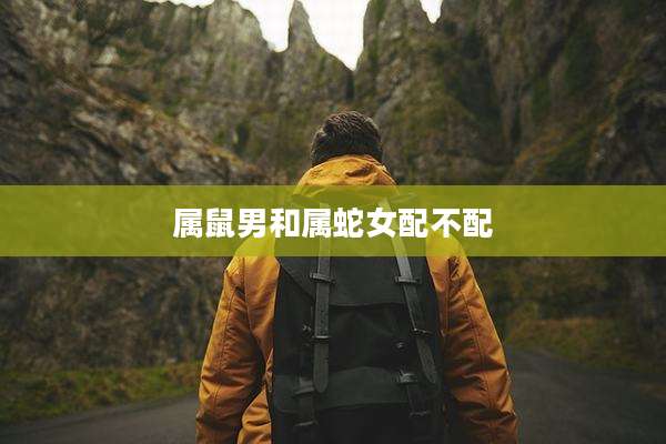属鼠男和属蛇女配不配