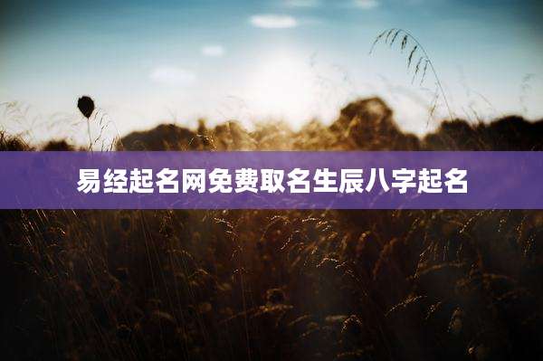 易经起名网免费取名生辰八字起名