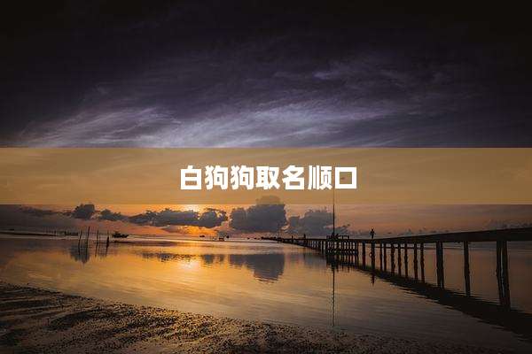 白狗狗取名顺口