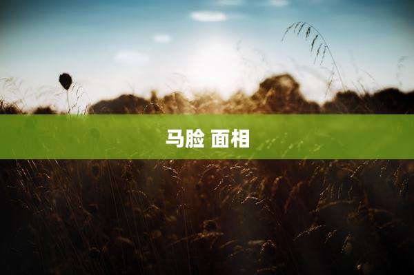 马脸 面相