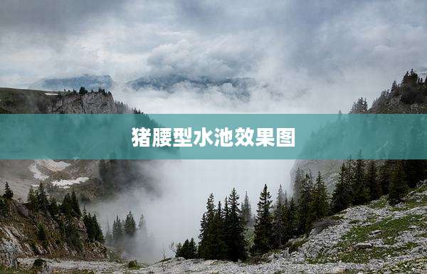 猪腰型水池效果图