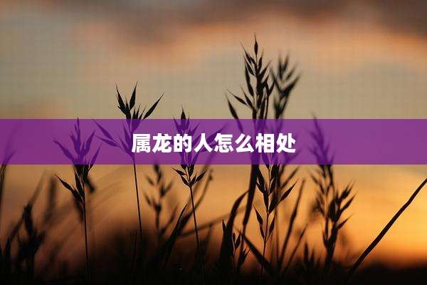 属龙的人怎么相处