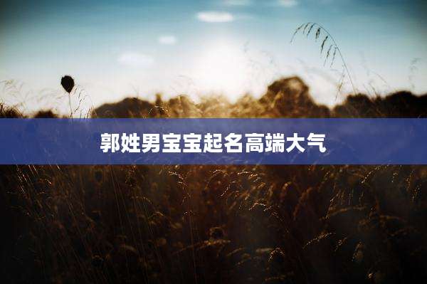 郭姓男宝宝起名高端大气