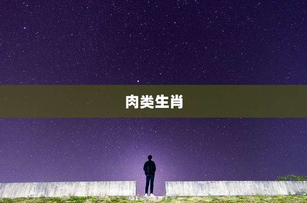 肉类生肖