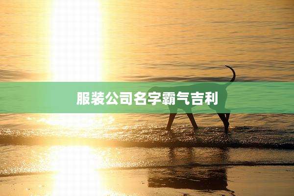 服装公司名字霸气吉利