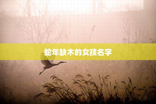 蛇年缺木的女孩名字