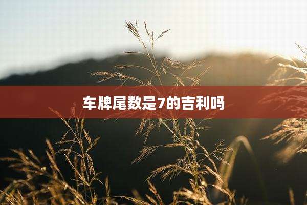 车牌尾数是7的吉利吗