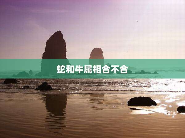 蛇和牛属相合不合