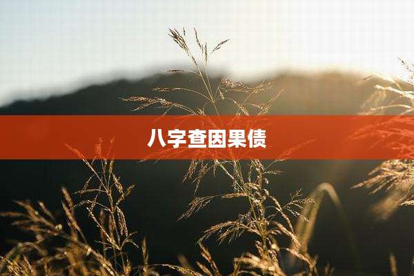 八字查因果债