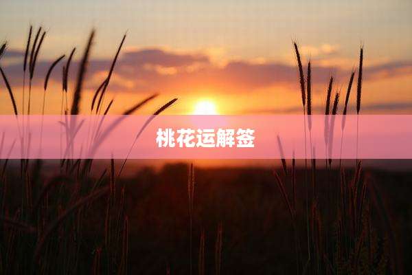 桃花运解签