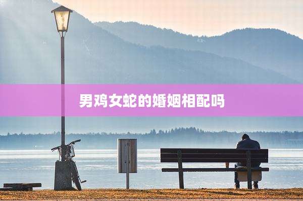 男鸡女蛇的婚姻相配吗