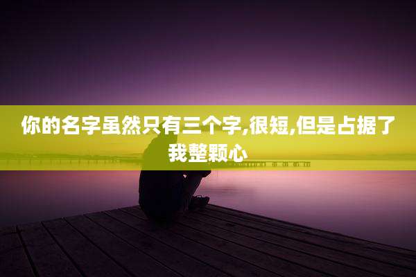 你的名字虽然只有三个字,很短,但是占据了我整颗心