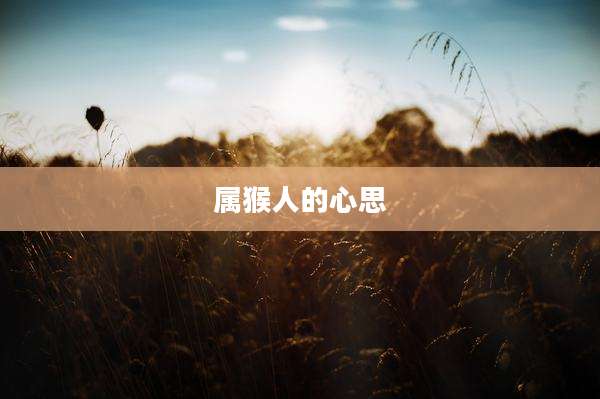 属猴人的心思
