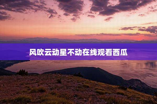 风吹云动星不动在线观看西瓜
