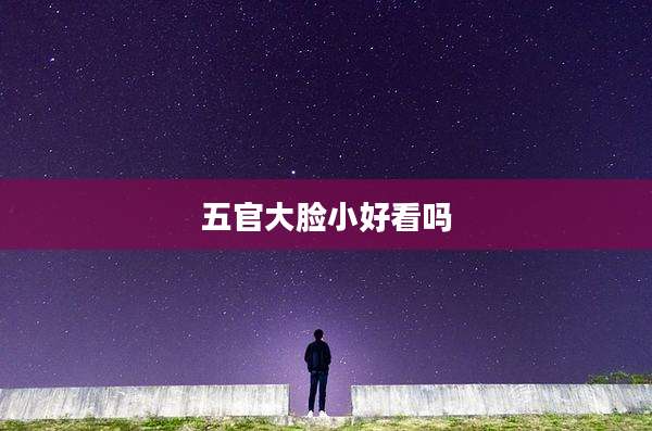 五官大脸小好看吗