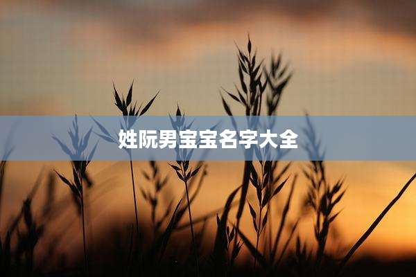 姓阮男宝宝名字大全