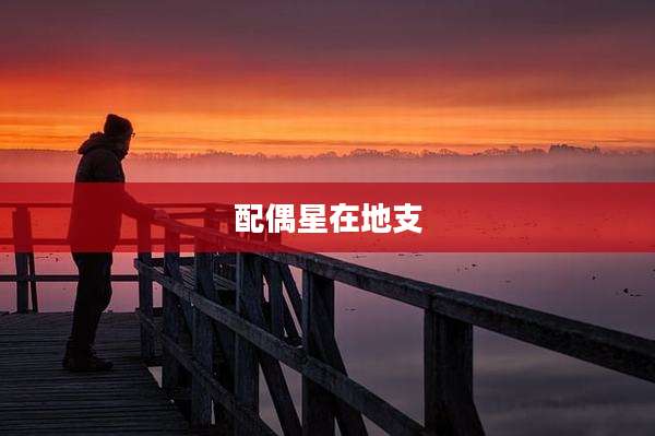 配偶星在地支