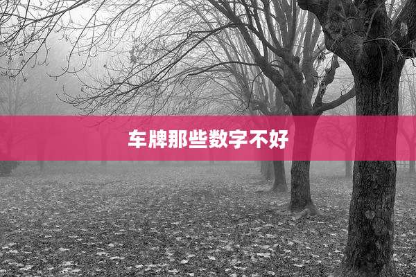 车牌那些数字不好