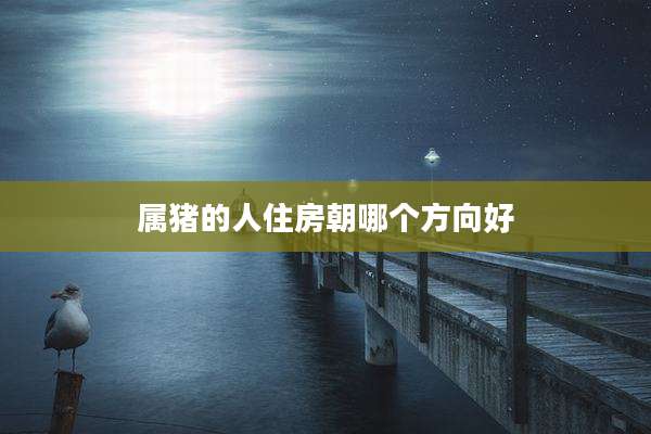 属猪的人住房朝哪个方向好