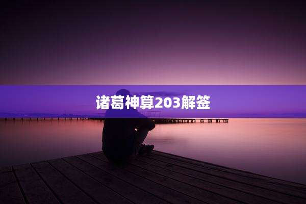 诸葛神算203解签