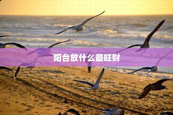 阳台放什么最旺财