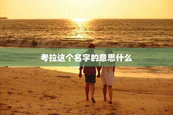 考拉这个名字的意思什么
