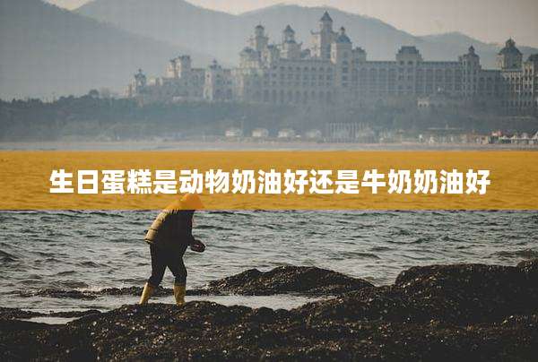 生日蛋糕是动物奶油好还是牛奶奶油好