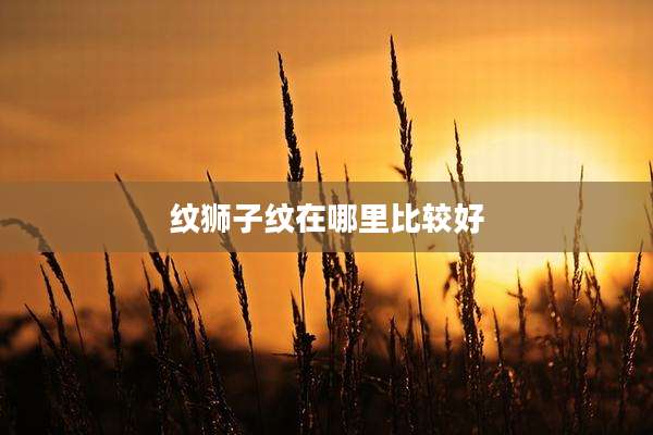 纹狮子纹在哪里比较好