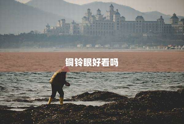 铜铃眼好看吗