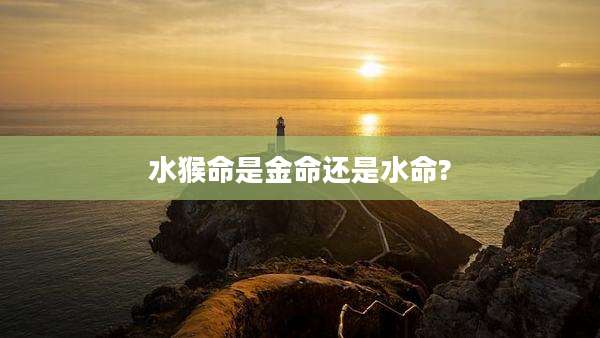 水猴命是金命还是水命?