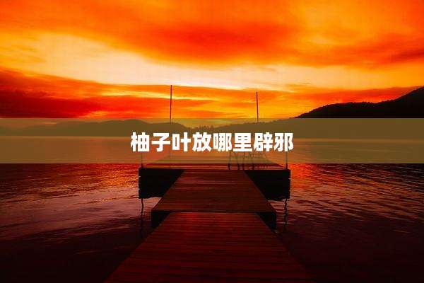 柚子叶放哪里辟邪