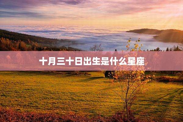 十月三十日出生是什么星座