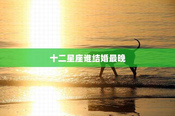 十二星座谁结婚最晚