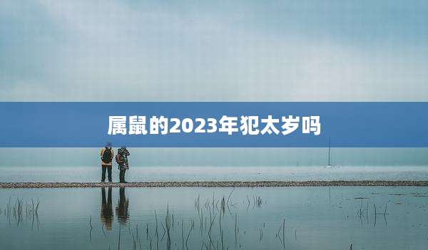 属鼠的2023年犯太岁吗