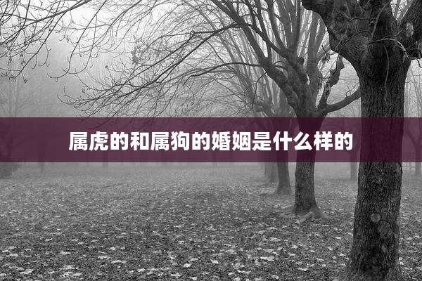 属虎的和属狗的婚姻是什么样的